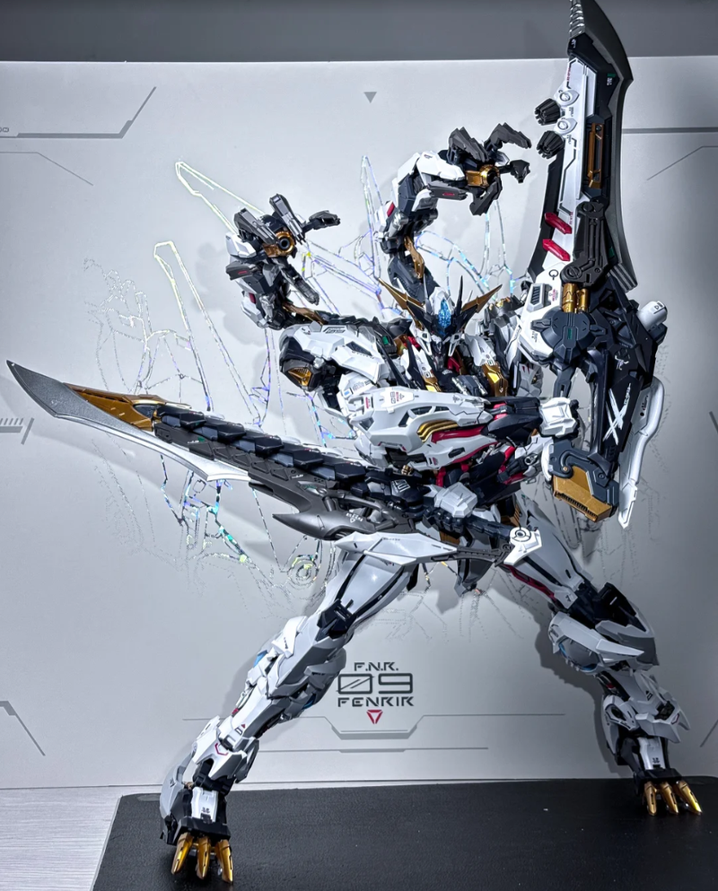 IN ERA+ RMD 1/72 FENRIR Infini - Fenrir Model Kit In Era のレビューと価格
