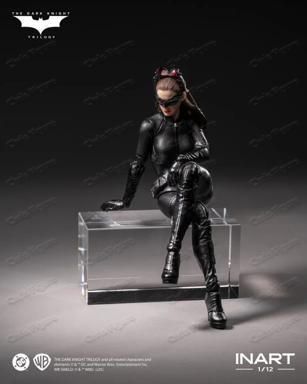 In Stock 100% Original INART D - Model Kit Batman のレビューと価格