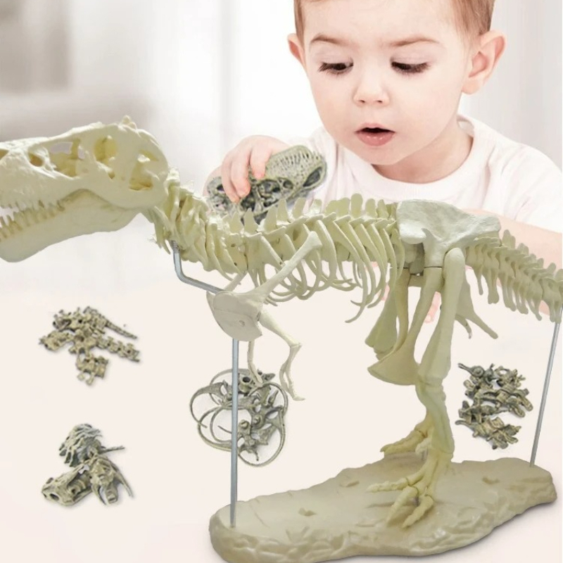 Large DIY Dinosaur Skeleton To - Model Kit Jurassic Park のレビューと価格